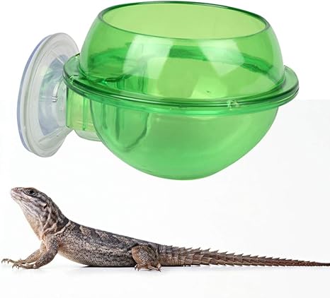 amazon reptile supplies