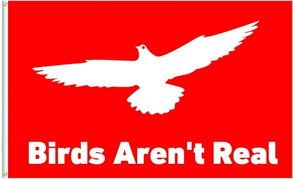 Birds Arent Real Flag, 3x5 Feet College Dorm Activist Banner Flag 3x5 Ft Indoor Outdoor - Vivid Color Fade Resistant - Double Stitiched Edges and Red Banner Red