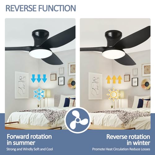 Ventilateur de plafond télécommande avec éclairage LED variable