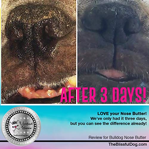 The Blissful Dog Bulldog Nose Butter – Dog Nose Butter, 2 Ounce - Thumbnail 5