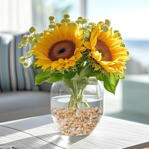 Image of 5 lbs Coarse Sand for Plants, 1 /5 Inch Horticultural Sand for Vases, Aquariums, Terrarium, Fish Tank, Drainage Rocks for Potted Plants, Bamboo, Succulent, Crafts, Cactus