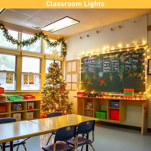Image of HashWOW 10 Meter LED Diwali Lights for Decoration for Home. String Light for Decoration | Decorative LED Rice Light | Warm White, Pack of 1, for Diwali, Ganesh Chaturthi, Halloween, Christmas Decor