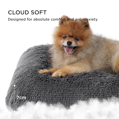 BEDSURE Flauschiges Hundebett für kleine Hunde - 61x45x8 cm Hundebett waschbar, rutschfeste Unterseite, plüsch Hundekissen, Dunkelgrau