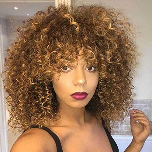 Best African American Wigs Online 10Reviewz