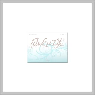 &TEAM Back to Life KR 1st Mini Album Photocard Box Version Card Holder+Mini CD+PhotoCard+Tracking Sealed