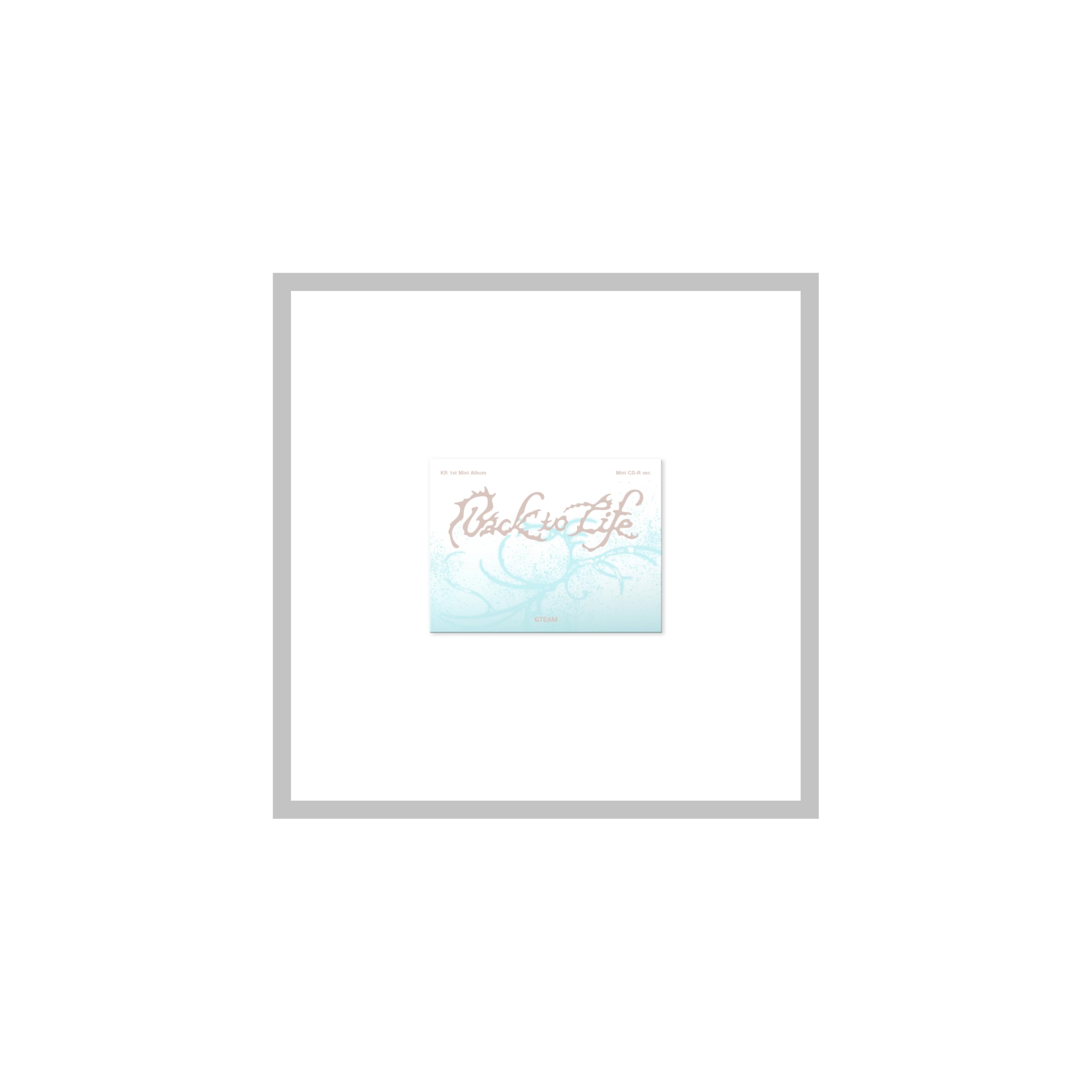 &TEAM Back to Life KR 1st Mini Album Photocard Box Version Card Holder+Mini CD+PhotoCard+Tracking Sealed