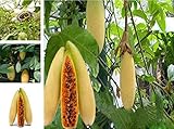 La fruta Banana Passion es rico en vitamina vitaminas A, B y C, calcio, fósforo y hierro, muy beneficio para consumirla como ayuda a reducir el estrés, reduce la presión arterial...