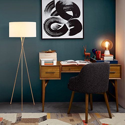 Lampes de plancher créatives avec télécommande pour chambre et salon