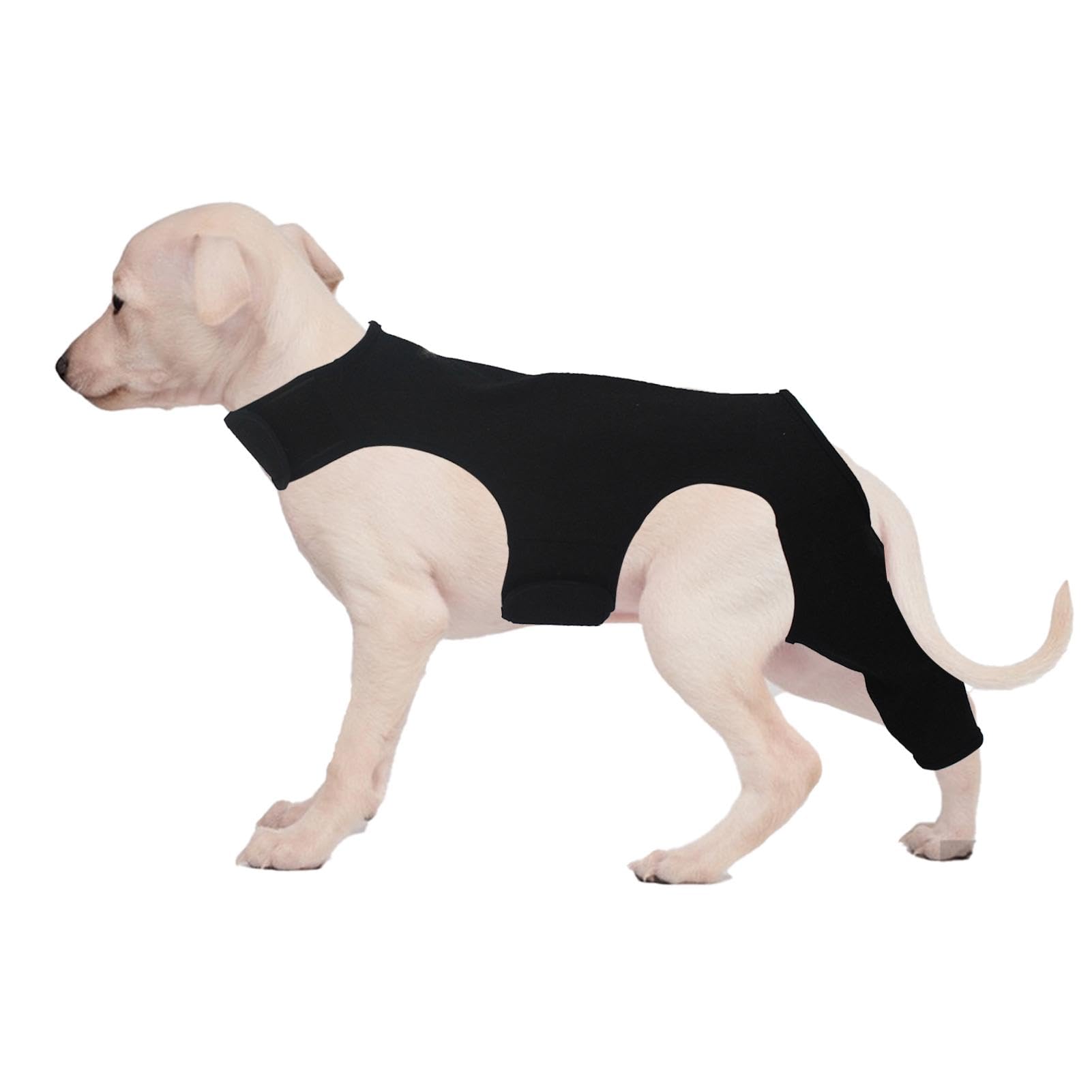Manchon de convalescence chien patte arrière anti-léchage efficace