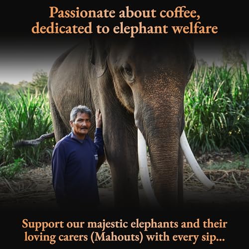 Black Ivory Mahout's Blend