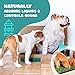 Fresh Patch Real Grass Patch for Dogs, Cats, and Small-Medium Pets Under 15 Pounds – Disposable Pet Grass Pee Pads – Indoor and Outdoor Potty Training Mat (16 Inches x 24 Inches)