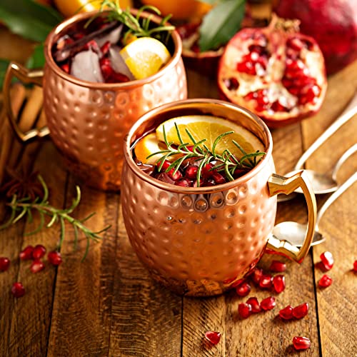 Moscow Mule Mugs Set Of 9 - 20Oz Hammered Moscow Mule Mugs Drinking Cup 304 Stainless Steel With 4 Straws-1 Jigger-Great Dining Entertaining Bar Gift Set Mug Set Of 4 (Double Jigger Included) #TOP5