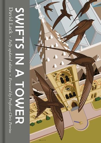 Swifts in a Tower