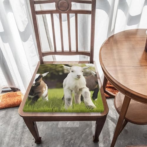 Cojín de espuma viscoelástica de cabra tapete de asiento cómodo lavable 6