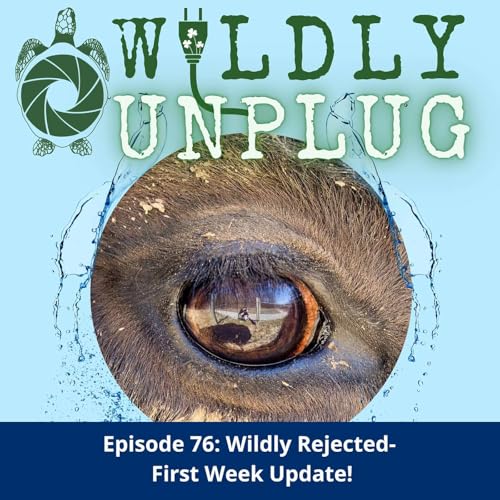 Wildly Rejected- First Week Update!