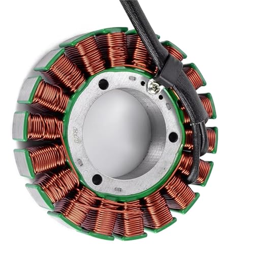 Bobine de stator d'allumage robuste pour moteur Polaris RZR 570