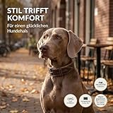FREUDENTIER Hundehalsband aus Leder, Made in Holland, gefüttert & super komfortabel, hochwertiges breites Lederhalsband aus Vollnarbenleder, Model “Amstelpark” (47-57cm Halsumfang, Dark Chocolate)
