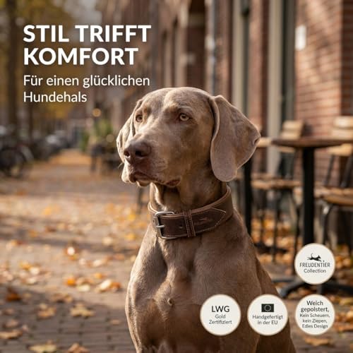 FREUDENTIER Hundehalsband aus Leder, Made in Holland, gefüttert & super komfortabel, hochwertiges breites Lederhalsband aus Vollnarbenleder, Model “Amstelpark” (47-57cm Halsumfang, Dark Chocolate)