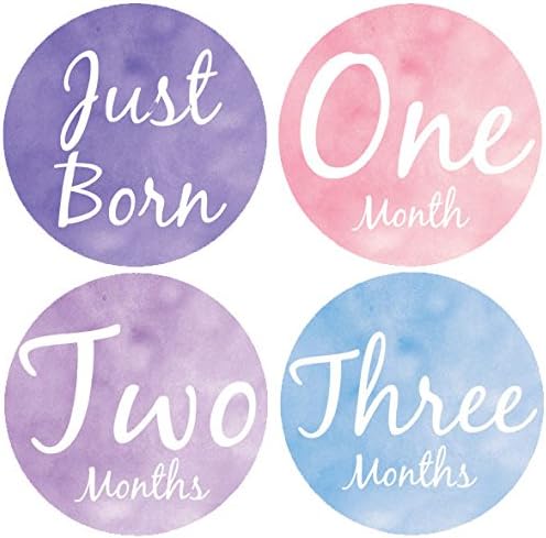 Belly Doodles 16 Baby Month Stickers for Girls Fake Watercolor 3.94inch (1-12 Months)