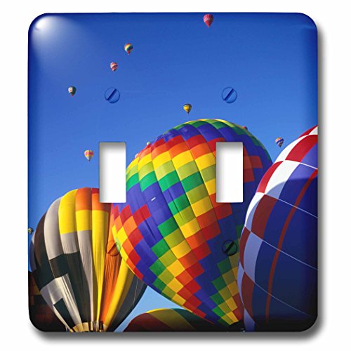 3dRose lsp_231263_2 Hot Air Albuquerque Balloon Festival, New Mexico Toggle Switch, Mixed