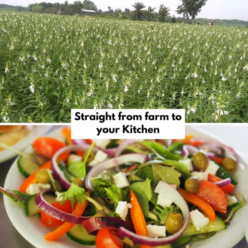 Image of Healthy Roots 2L Cold Pressed Sesame /Gingelly Oil (Virgin, Chekku /Ghani) - 2 Litre Wood Pressed Sesame oil for cooking