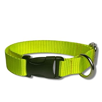 BNB Classic Nylon Dog Collars - for Small, Medium and Large Breeds- Neon Green (Large)