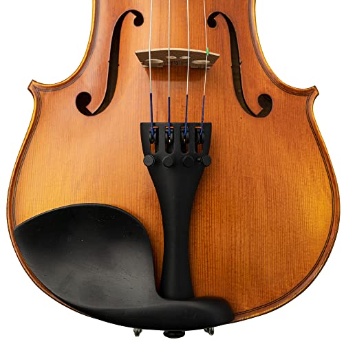 Professional Violin Beginner Full Size