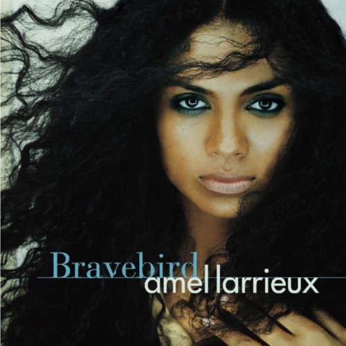 Amazon.com: Bravebird : Amel Larrieux: Digital Music