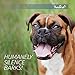 PetsN'all Upgraded Ultrasonic Outdoor Dog Bark Controller in Anti-Bark Training Birdhouse Shape