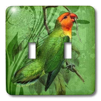 Interruptor de doble palanca 3dRose lsp_62898_2 placa de pared decorativa 3
