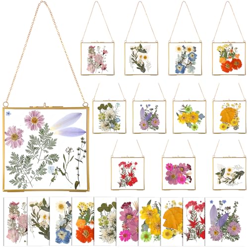 Barydat 12 Pcs Pressed Flower Frame with 10 Dried Flower