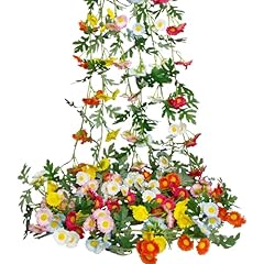 Blue, Rose Red, Orange, White, Pink and Yellow