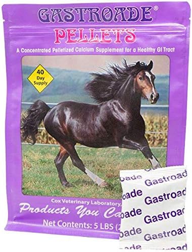 GuHuiKuGastroade EZE-GO Packs. Pelleted Top-Dress for Treating Equine Gastric Distress. Highly Palatable. Convenient, Pre-Measured Packs. Natural, Drug-Free Ingredients. 40-Day Supply. Made in USA.