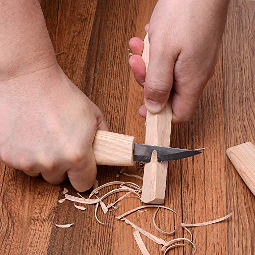 PRUGNA Wood Carving Tools Set for Spoon, Kuksa, etc. Carving Kit Contains 3 Knives, Sanding Sponges, Whetstone, Strop and Polishing Compound - with Exquisite Portable Case