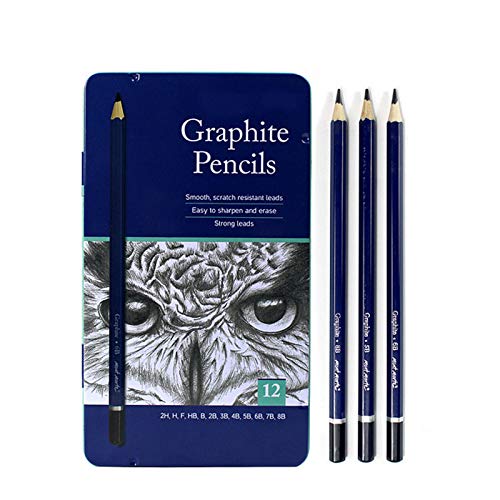 Professional Drawing Sketching Pencil Set - 12 Pieces Art Drawing Graphite Pencils(8B - 2H), Ideal for Drawing Art, Sketching, Shading, for Beginners & Pro Artists