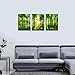 Green Forest Canvas Wall Decor 12x16 inches, Home Decor with Natural Light Elements, Minimalist Canvas Print for Living Room, Bedroom, or Hallway -3 Panels Sunrise Landscape Modern Nature Art