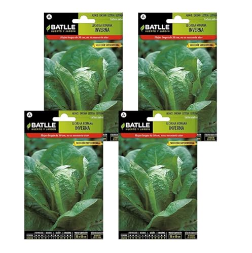 Semillas de lechuga romana inverna Semillas Batlle PACK (4)