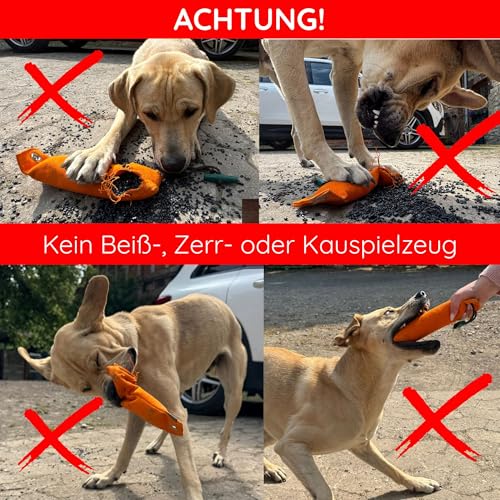 Romneys Junior Dummy für alle Hunderassen ca. 250 g - Für das Hunde- und Apportiertraining, schwimmfähig (orange)