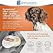 Dermoscent | Bio Balm | Natural, Organic, Healing Dog Paw Balm | Skin & Paw Soother For Dogs With Dry, Cracked, & Rough Paws | Veterinarian-Approved Paw Pad Moisturizer & Protector