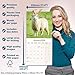 Sheep Calendar 2026 | 12 Month Wall Calendar | Avonside Publishing | Plastic Free Packaging