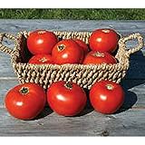 Mountain Fresh Plus Tomato Seeds (25 Seed Packet)(Non GMO Organic Vegetable Fruit Garden Seeds) Non-Hybrid, by Home Decorium
