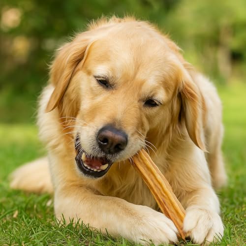 123... Hund dabei! - 1kg Premium Naturgetrocknete Rinderkopfhautstangen 30cm für Hunde - 100% Natürlich & Getreidefrei - Rinderkopfhaut - Für Starke Zähne - 100% Naturprodukt (1kg, 30cm Stangen)