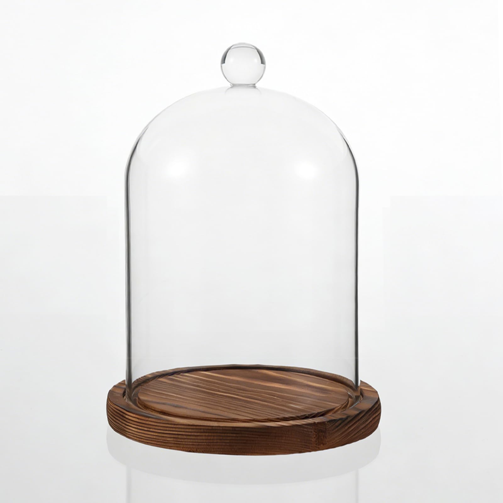 Campana di Vetro a Campana con Base in Legno, Robusta CampanaDecorativa in Vetro 12 x 16 cm, Espositore a Campanain Vetrocon Base in Legno for Esporre Piante, Ornamenti, Statuette, Antiquariato