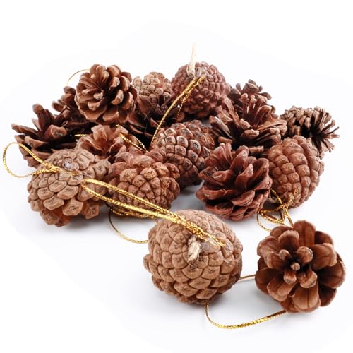 Lukinuo Tannenzapfen Hängende Ornamente 18 Stück Weihnachten...