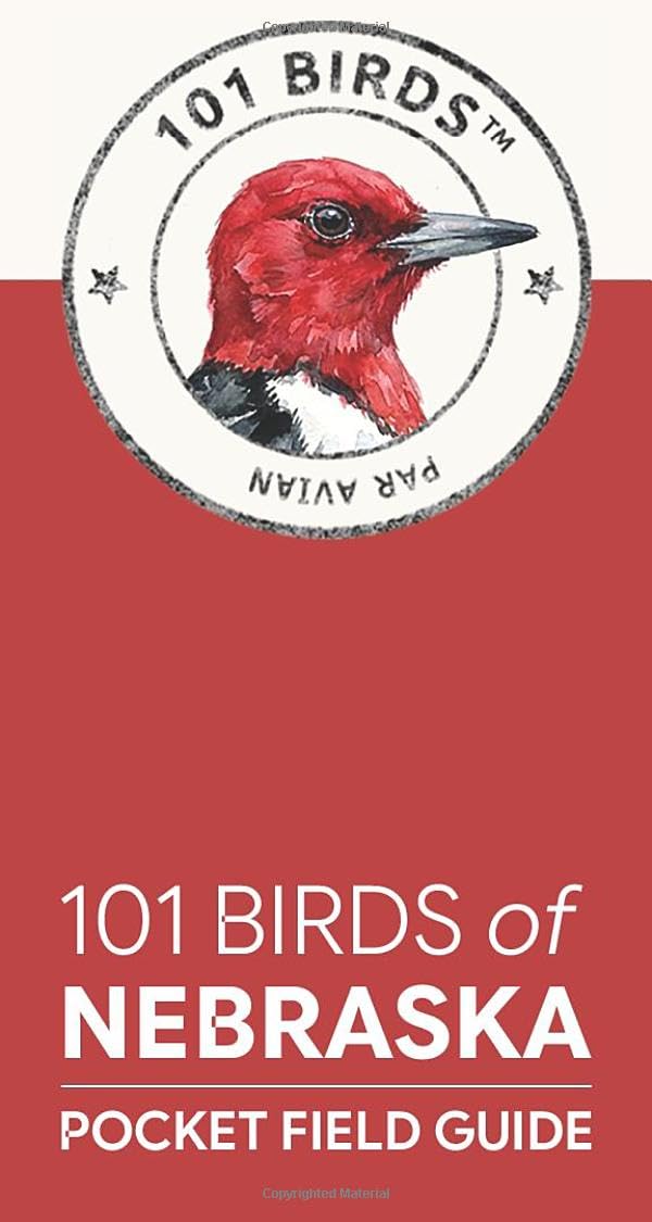 101 Birds of Nebraska: Pocket Field Guide (101 Birds Pocket Field Guides)