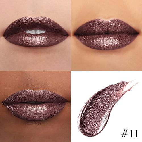 Image of evpct Dark Brown Metallic Glitter Lip Liner and Lipstick Combo Lip Gloss Stain Set Makeup for Women Long Lasting Waterproof 24, Chocolate Metallic Shimmer Frosted Iridescent Shiny Liquid Lipstick 11