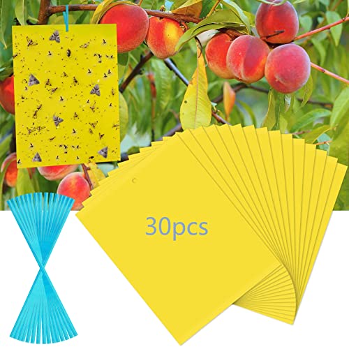 30 Pack Yellow Sticky Traps Fruit Fly Trap Double-Sided Fungus Gnat Trap
