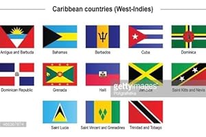 Ant Enterprises. Caribbean West Indies Islands 3x5&#x27; Flag Set of 13 Country Polyester Flags
