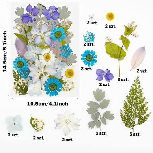 Cayway 40 szt. Naturalne prasowane suszone kwiaty, niebieskie naturalne prasowane liście do żywicy, prawdziwe suszone kwiaty prasowane kwiaty do scrapbookingu, biżuteria z żywicy epoksydowej