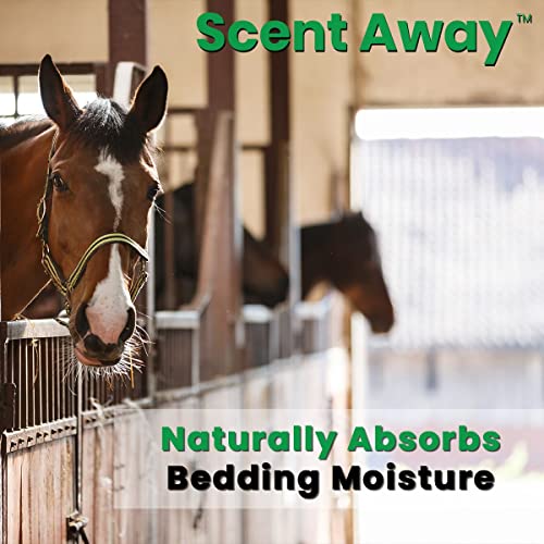 Scent Away Horse Stall Deodorizer Odor Eliminator | 100% Natural Odor Neutralizer | Fragrance Free Smell, Odor & Moisture Absorber | Non-Toxic Active Carbon & Zeolite Odor Control | 25Lbs. (11.34Kg) #TOP2